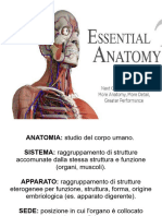 1 - Anatomia Generale
