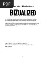 SEO Audit Report - Bizualized v2