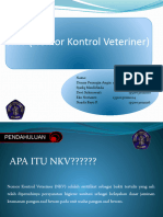 2. NKV_Auditppt