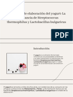 Wepik El Proceso de Elaboracion Del Yogurt La Importancia de Streptococcus Thermophilus y Lactobacillus B 20231115115044xohm