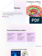 Explorando El Sistema Limbico