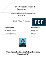 Agile Software Development Lab File (2003263)