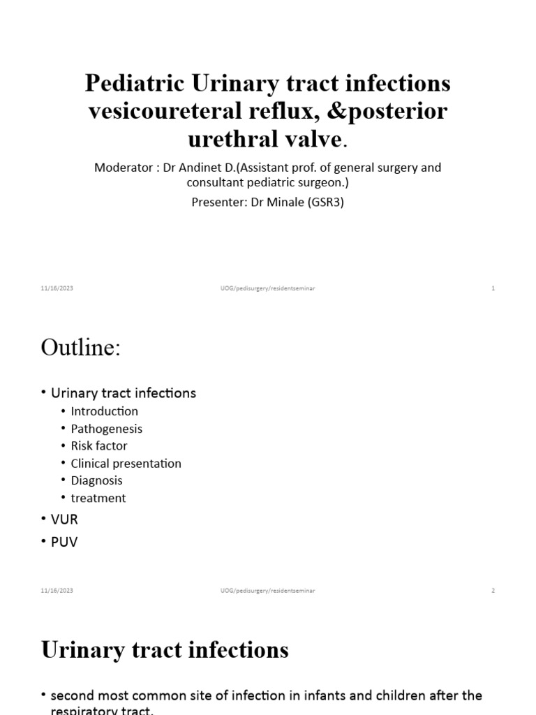 Posterior Urethral Valve and Vesicoureteral Reflex PDF Medical