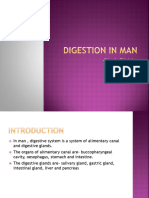 Digestioninman Copy 200527150922
