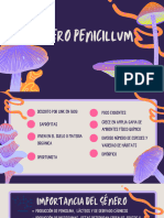 Penicillium Final