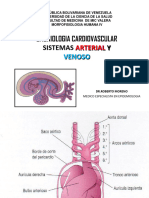DR Roberto Clase 2 Embriologia PDF