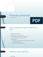 Filtracion Glomerular
