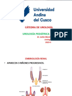 Urología Pediátrica