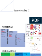 Biomoleculas II