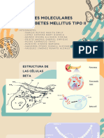 Seminario 01 Diabetes Mellitus Tipo Ii