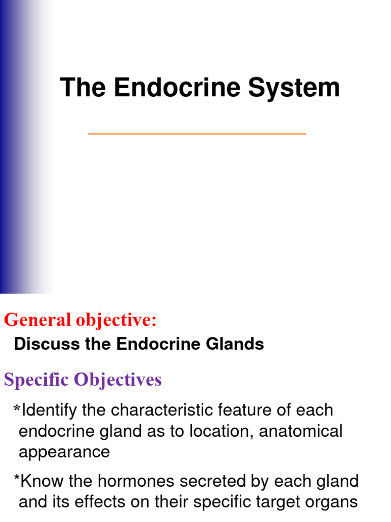 88 endocrine lab true stud pdf pituitary gland endocrine system