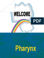 Pharynx 160420111036