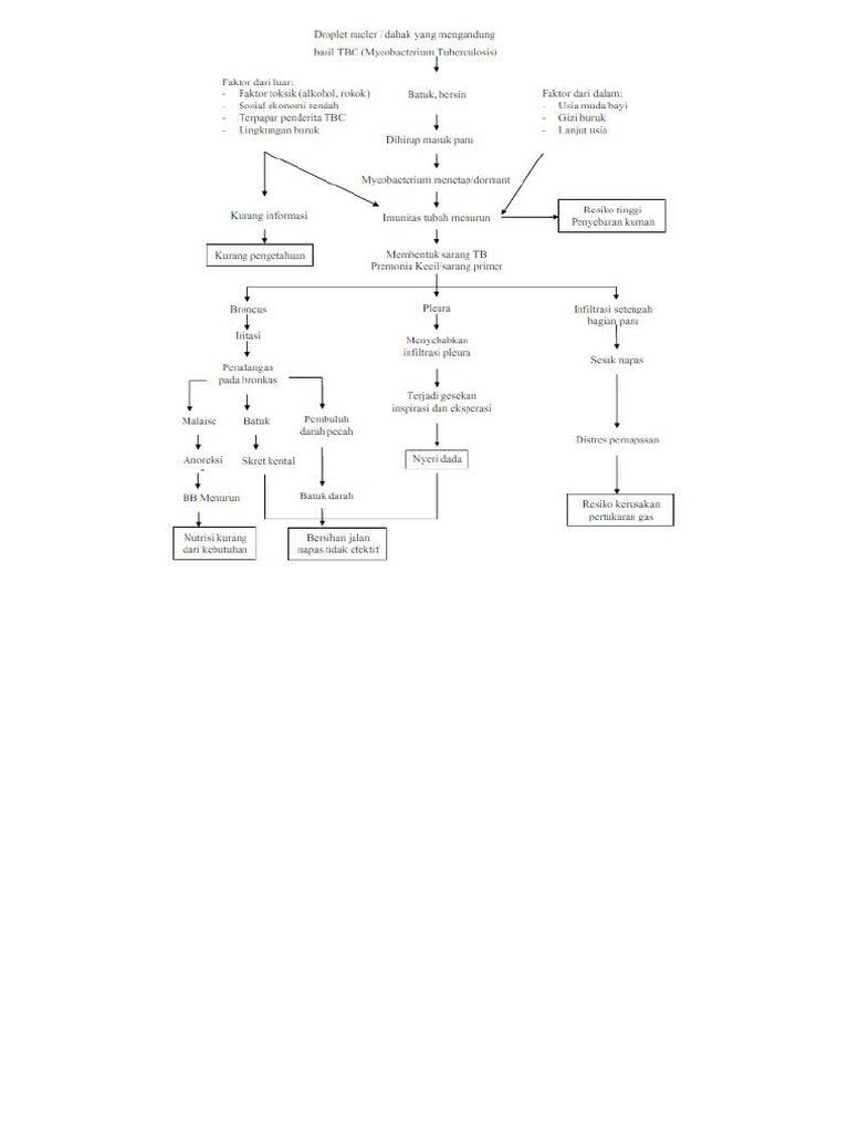 Pathway | PDF