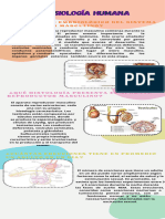 Foro 10 Morfo