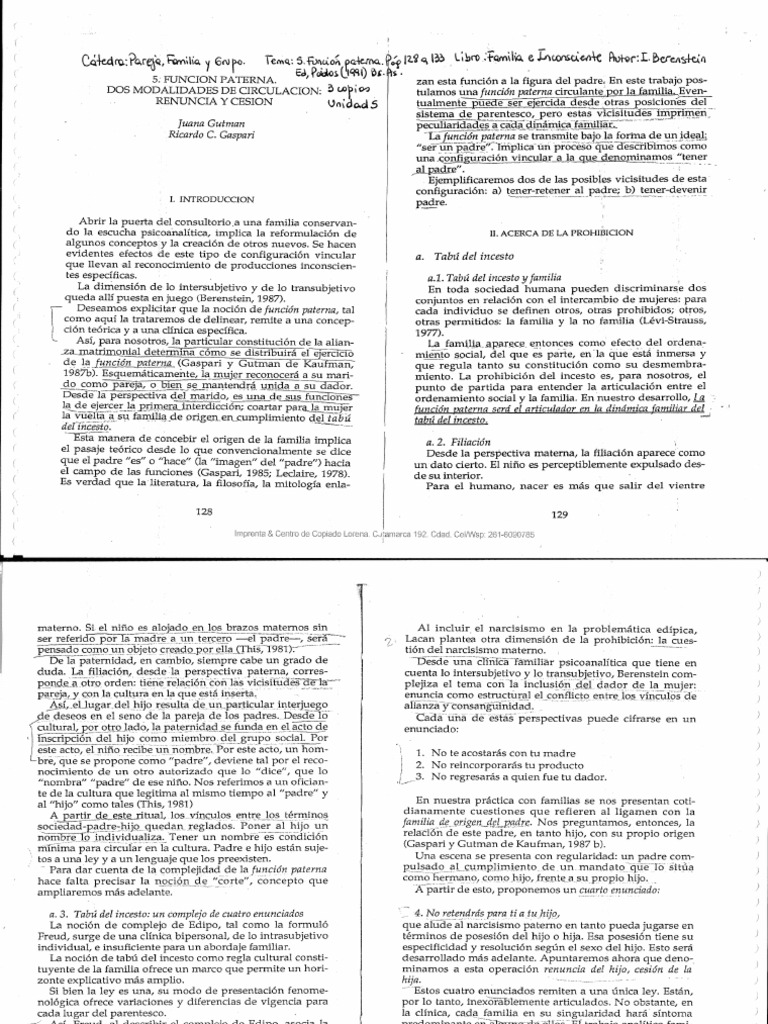 2 Berenstein Función Paterna PDF