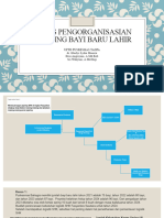 PKM Taopa - Tugas Pengorganisasian Skrining BBL