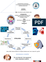 1. RESFRIADO COMUN-INFLUENZA SUBGRUPO 1