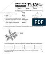 22-23 G8 Diagnostic 1