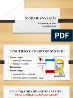 Nervous System 1