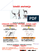 Evolūcijas Liecības - Salīdzinošā Anatomija