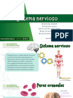 Anatomia - Trigemino - 20231110 - 130129 - 0000