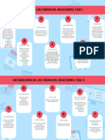 Metabolismo de Los Fármacos Reacciones