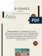 Pauta de Patada Frontal Ap Chagui