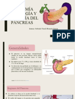 Pancreas - Gabriela Yuseli Huaman Garcia