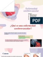 Grupo 1. Enfermedad Cerebrovascular