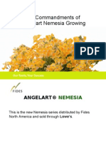 Nemesia Presentation