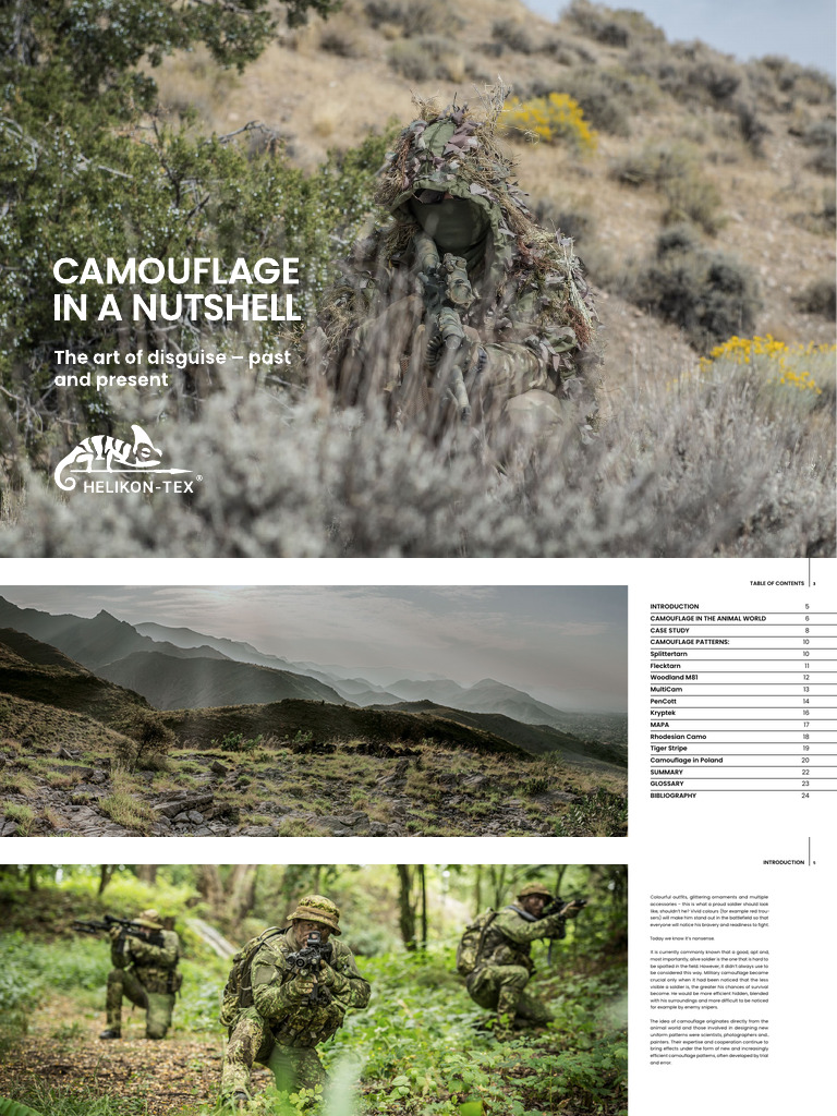 Evolution of Military Camouflage Patterns | PDF | Camouflage