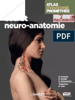 Atlas D'anatomie Prométhée Tête, Cou Et Neuro Anatomie