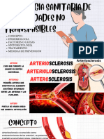 Estrategia Sanitaria de Enfermedades No Transmisibles