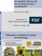 Fibonacci Phyllotaxis