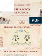 Respiracion Aerobia