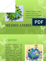 Medio Ambiente