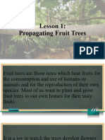 Lesson 1 - Propagating Fruit Trees