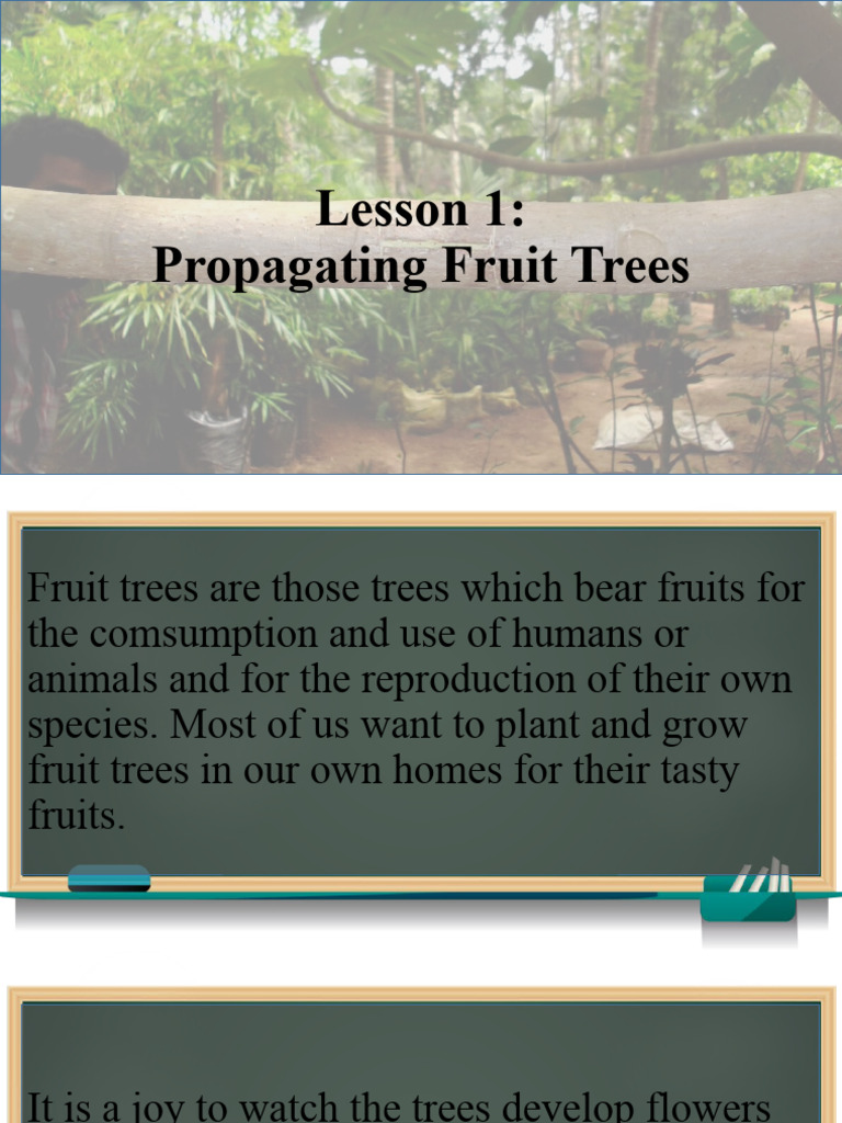Lesson 1 Propagating Fruit Trees PDF Trees Seed