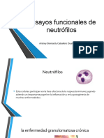 4.1ensayos Funcionales de Neutrófilos