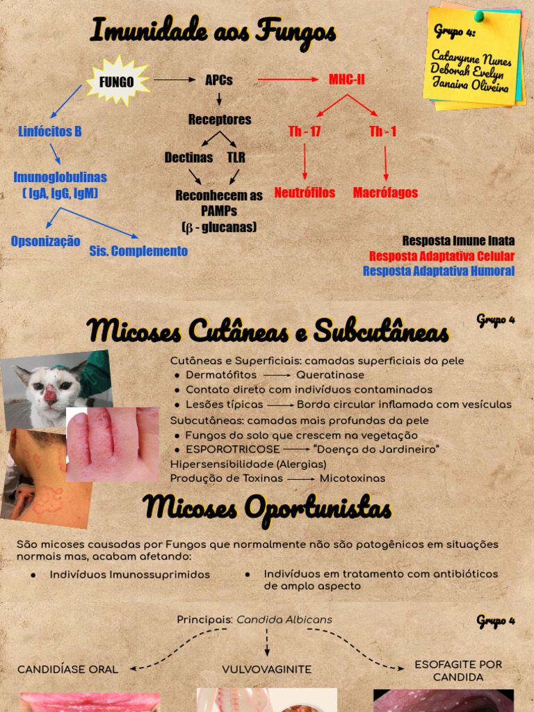 micoses-pdf-fungo-candid-ase
