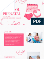 Pink Illustrated Female Health Presentation