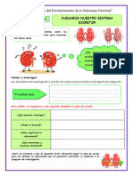 Ficha-Juev-Cyt-Cuidamos Nuestro Sistema Excretor