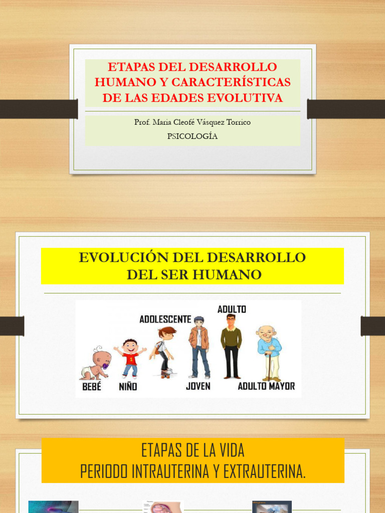 Etapas del Desarrollo Humano | PDF | Sicología | Adultos