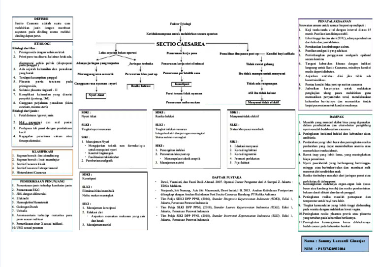 Panduan Penatalaksanaan Sectio Caesarea | PDF