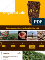 Origen Del Cafe