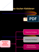 Pertemuan 3 Paradigma Asuhan Kebidanan