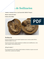 Procesos de Fosilización