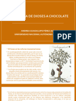 DE BEBIDA DE DIOSES A CHOCOLATE