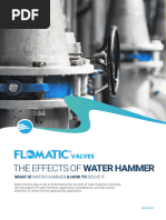 Effects of Water Hammer