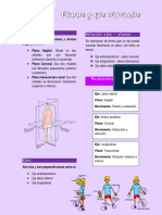 Planos y Ejes Corporales